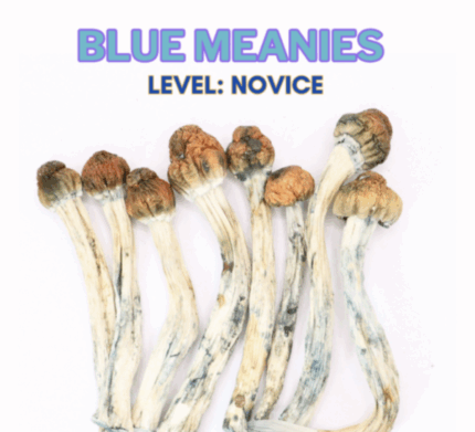 Buy Blue Meanies Magic Mushroom Strain Online